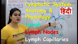 Lymphatic System in Hindi  Lymph  Lymph Nodes  Lymph Vessels  Anatomy amp Physiology [upl. by Saltzman239]