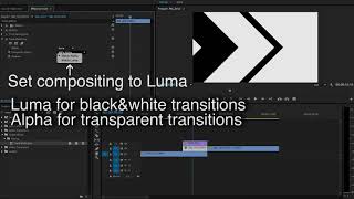 How to use matte transitions in Premiere Pro [upl. by Kaiulani636]