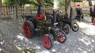 Traction engines galore at Lappa valley’s 50th anniversary weekend [upl. by Ainedrag590]