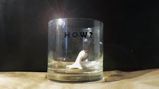 How the Homunculus moves in the Glass [upl. by Rome547]