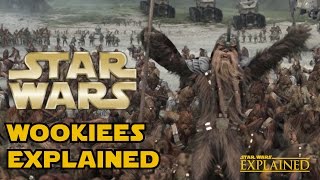 Wookiees Explained Canon  Star Wars Explained [upl. by Eckart648]