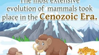 Cenozoic Era Life Forms and Important Facts [upl. by Soll827]