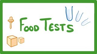 GCSE Biology  Food Tests Practicals 16 [upl. by Jeremie232]