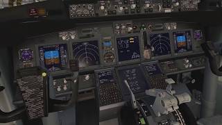 X plane 11  Tutoriel Démarrage 737800zibo [upl. by Darrey]