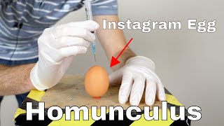 Man Makes Homunculus Monster From Instagram Egg [upl. by Ralyks]