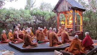 Pali Chanting In The Abhayagiri Buddhist Monastery  Theravada Buddhism [upl. by Nohsal]