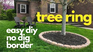 easy diy No Dig Border TREE RING [upl. by Harrus]