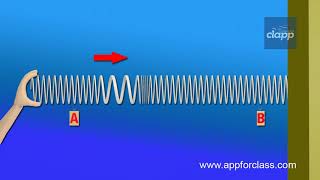 Longitudinal Wave [upl. by Nnyledam]