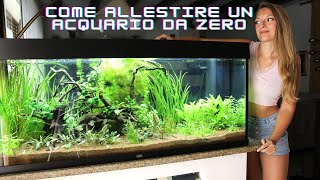 Allestimento di un acquario come fare [upl. by Floridia]