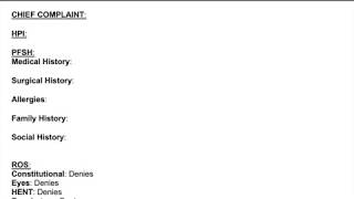 Ideal Medical Scribe Chart  Example Medical Documentation  Flank Pain  Providers SOAP Note [upl. by Roxana528]