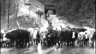 A Slideshow of the 1985 Flood in West Virginia [upl. by Reube]