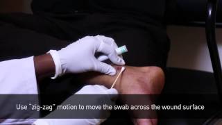 Swab Collection Procedure [upl. by Oralee]