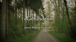 Goethe Gefunden [upl. by Neggem]