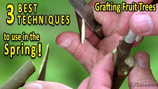 Grafting Fruit Trees  The 3 BEST Grafting Techniques for SPRING [upl. by Ronda]