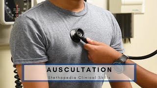 Basic Auscultation Technique  Stethopedia [upl. by Namurt]