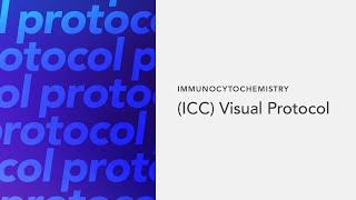 Immunocytochemistry ICC Visual Protocol [upl. by Yralam]