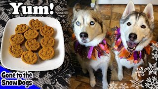 Pumpkin Spice Muffins for Dogs  Homemade Dog Treats Recipe 109  DIY Dog Treats [upl. by Shama288]