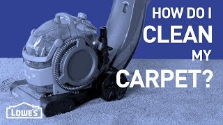 How Do I Clean My Carpet  DIY Basics [upl. by Ecnaralc898]