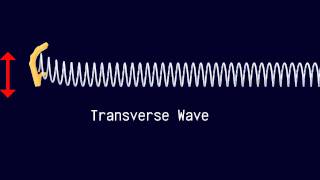 Longitudinal and Transverse Waves [upl. by Aicnelev440]