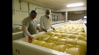 Wisconsin’s Cheese Heritage [upl. by Hemetaf]