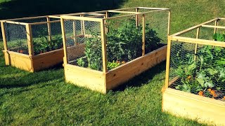 Enclosed Raised Garden Beds  DIY Gardening Project [upl. by Gravante]