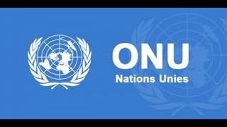 Comment Postuler à l’offre de recrutement des Nations Unies  Stagiaires [upl. by Kowatch951]