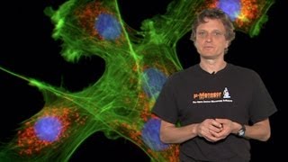 Microscopy Introduction to Fluorescence Microscopy Nico Stuurman [upl. by Cece]