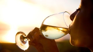 A winelovers guide to Pinot Grigio  The World of Wine [upl. by Sadella844]