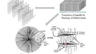 Polymer Crystallization [upl. by Helge]