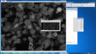 ImageJ How to Measure Mean Fluorescence Intensity Over Timelapse Image Stack Condensed [upl. by Nagud]