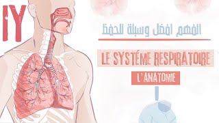 le système respiratoirelanatomie généraleلن تحتاج الى حفضه بعد هذا [upl. by Ariahay]