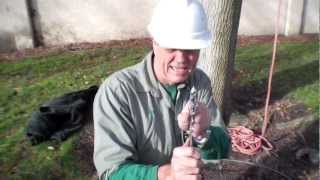 How to Cable a Tree [upl. by Dennett676]