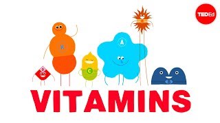 How do vitamins work  Ginnie Trinh Nguyen [upl. by Elik]