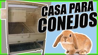 🐰Aprende cómo Crear CASA o JAULA para Tus CONEJOS [upl. by Dorn]