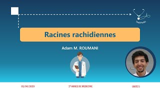 UI5  Racines rachidiennes [upl. by Fawcette]