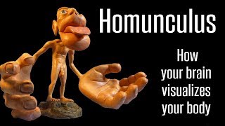 Homunculi and Visualization part 47 [upl. by Farr]