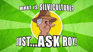 What is silviculture [upl. by Oeram]