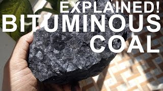 How coal is formed  Practically demonstration [upl. by Anaiviv]