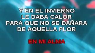 FLOR PALIDA MARC ANTHONY KARAOKE [upl. by Aennil329]