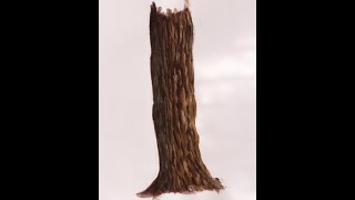 how to paint a tree trunk in acrylics [upl. by Loats]