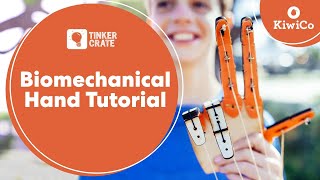 Build a Biomechanical Hand  Tinker Crate Project Instructions  KiwiCo [upl. by Pelletier766]