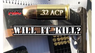 Truth about the 32 ACP [upl. by Adnorahs437]