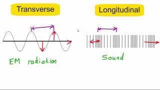 Transverse vs longitudinal waves [upl. by Mercorr]