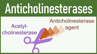 Anticholinesterase Agents Organophosphates amp Carbamates [upl. by Ydna]