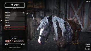 Red Dead Redemption 2  Horse Stable Shop amp Horse Customization [upl. by Norym188]