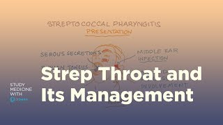 Strep throat pathology symptoms and management [upl. by Aivatan544]