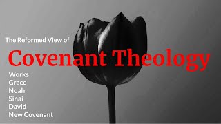 The Reformed View Covenant Theology [upl. by Messab57]