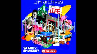 Yaakov Shwekey A Toast To Life  לחיים [upl. by Sineray]