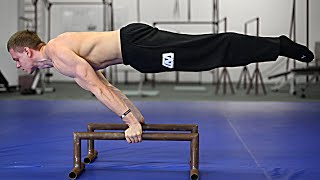 How To Planche  Beginner Tutorial [upl. by Falo]