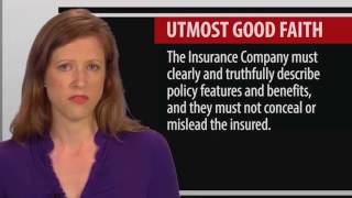 3 Legal Concepts of the Insurance Contract [upl. by Leeban]